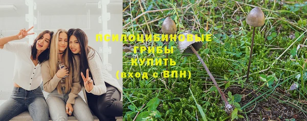 сатива Козельск