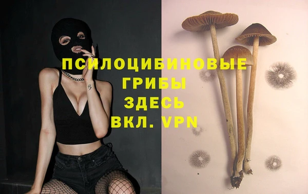 mdpv Липки