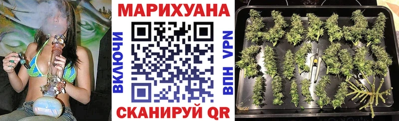 где купить наркотик  Ельня  Бошки марихуана OG Kush 